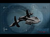 Stargate Wallpaper Stargate Atlantis wallpapers 3D